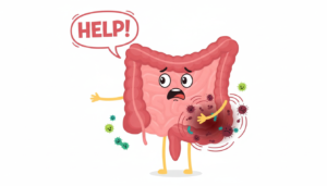 MICROBIOTA INTESTINAL: SALUD DIGESTIVA: EL IMPACTO DE LA DIETA Y LOS HÁBITOS ALIMENTARIOS.